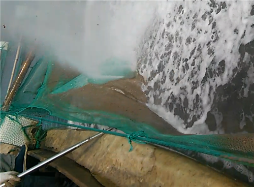 1561702416765576.png 高壓清洗機,進口高壓清洗機,高壓清洗機價格,超高壓清洗機