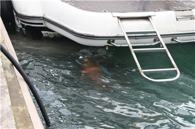 高壓清洗機(jī),進(jìn)口高壓清洗機(jī),高壓清洗機(jī)價(jià)格,超高壓清洗機(jī) 高壓清洗機(jī),進(jìn)口高壓清洗機(jī),高壓清洗機(jī)價(jià)格,超高壓清洗機(jī)