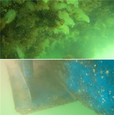 高壓清洗機(jī),進(jìn)口高壓清洗機(jī),高壓清洗機(jī)價(jià)格,超高壓清洗機(jī) 高壓清洗機(jī),進(jìn)口高壓清洗機(jī),高壓清洗機(jī)價(jià)格,超高壓清洗機(jī)