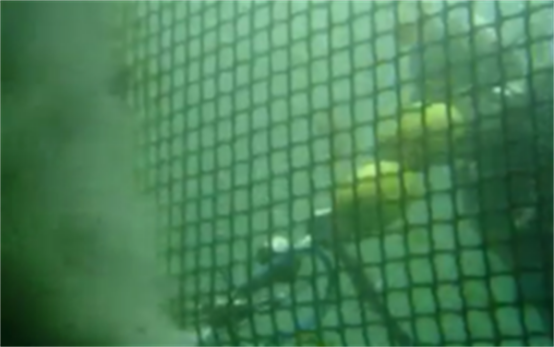 高壓清洗機,進口高壓清洗機,高壓清洗機價格,超高壓清洗機 高壓清洗機,進口高壓清洗機,高壓清洗機價格,超高壓清洗機