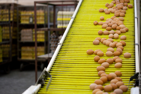 高壓清洗機(jī),進(jìn)口高壓清洗機(jī),高壓清洗機(jī)價(jià)格,超高壓清洗機(jī) 高壓清洗機(jī),進(jìn)口高壓清洗機(jī),高壓清洗機(jī)價(jià)格,超高壓清洗機(jī)