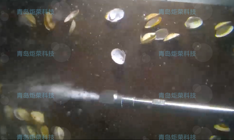 高壓清洗機,進口高壓清洗機,高壓清洗機價格,超高壓清洗機 高壓清洗機,進口高壓清洗機,高壓清洗機價格,超高壓清洗機