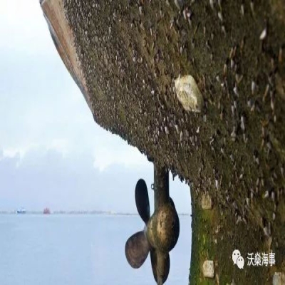 船體生物污損問(wèn)題得到重視